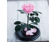 Стабилизированная роза в колбе Lerosh - Lux 33 см, Розовая