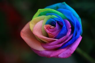 Оксид розы | rose oxide