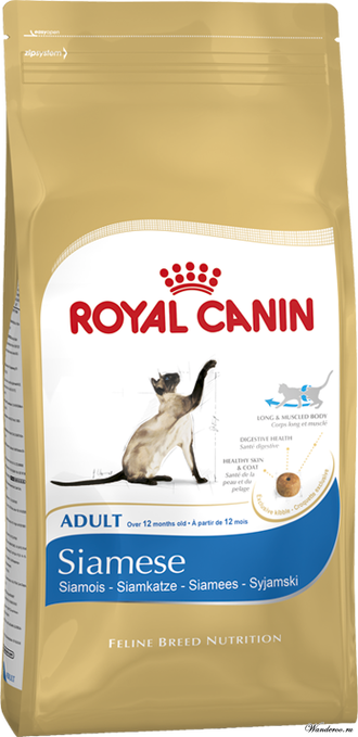 Royal canin cheap siamese