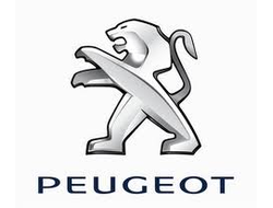 Диагностическая карта техосмотра для Пежо (Peugeot)