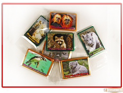 Сувениры Новосибирский зоопарк имени Р.А. Шило