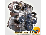 Двигатель на ГАЗель Бизнес Евро-3 с поликлиновым ремнем, кроншт. под ГУР, компрессором SD7H15JE8229