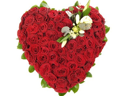 Сердце из роз 51/101 роза Я Твой