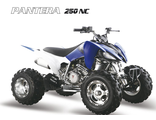 Спортивные квадроциклы Pantera 250 NC супер спорт аналог Yamaha 250