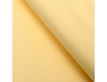 Бумага упаковочная тишью,  50 х 66 см, цвета в ассортименте, 5 шт