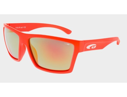 Очки солнцезащитные Goggle POSS T930-3P
