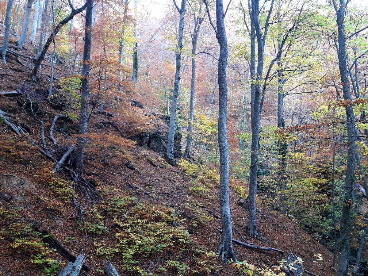 осень в горах Крыма