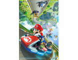 Постер Maxi Pyramid: Nintendo: Mario Kart 8 (Flip Poster)