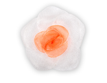 Нарцисс бело-оранжевый, 5*5 см.