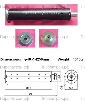 48x250 Пиропатрон подушки пассажира D004561