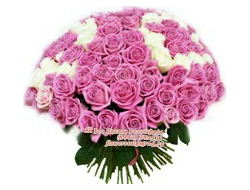 101 роза розовая с белой Экстравагантные эмоции