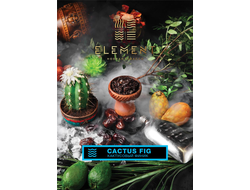 Табак Element Cactus Fig Кактус Вода 25 гр