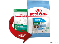 Royal Canin Mini Puppy Роял Канин Мини Паппи корм щенков мини пород в возрасте от 2 до 10 месяцев,  0,8 кг