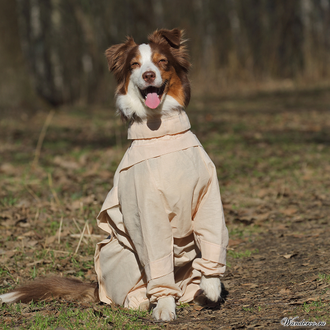Комбинезон для собак с ловушками от клещей OSSO Fashion размер 32 (кобель)