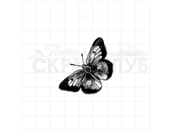 Штамп  бабочка с красивой спинкой