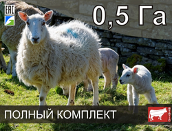 Электропастух СТАТИК-3М для овец и ягнят на 0,5 Га - Удержит даже самого наглого барана!