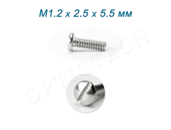 Винт М1.2*2.5*5.5 мм общего назначения серебро (100шт)