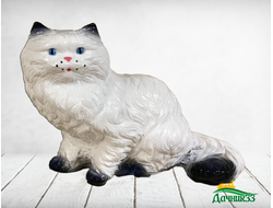 Кот персидский белый
