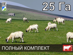 Электропастух СТАТИК-3М для коз на 25 Га - Удержит даже самого наглого козла!