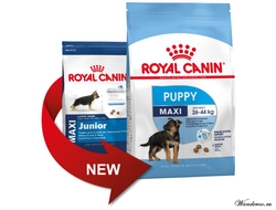 Royal Canin Maxi Puppy Роял Канин Макси Паппи корм для щенков крупных пород в возрасте с 2 до 15 месяцев,  3 кг