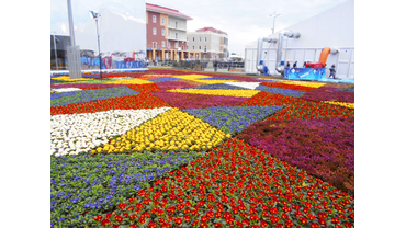 Озеленение олимпийского парка в г.Сочи. Цветочное оформление клумб "Лоскутное одеяло"