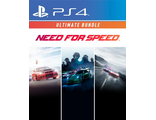 Need for Speed Уникальный набор (цифр версия PS4 напрокат) RUS