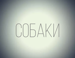 Значки СОБАКИ