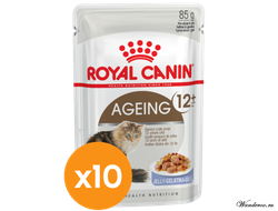 Влажный корм для кошек Роял Канин Эйджинг Royal Canin Ageing Jelly+12 пауч в желе по 0,085 кг Х 10 ШТ