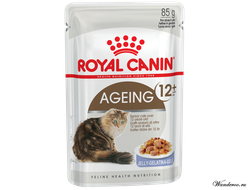 Влажный корм для кошек (влажный корм в желе для кошек старше 12 лет) Роял Канин Эйджинг Royal Canin Ageing Jelly+12 пауч по 0,085 кг