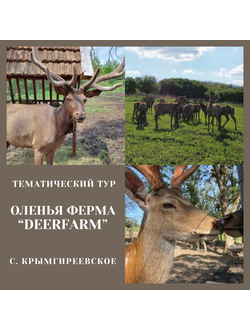 Оленья ферма "Deer Farm" тематический эко-тур