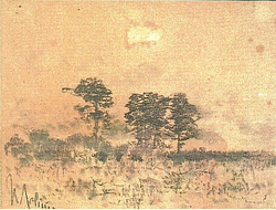 Левитан И.И. Пейзаж с деревьями 1890-е гг. Бумага, графитный карандаш, соус  18,4Х23,8(1042)