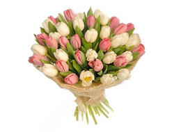 Букет Тюльпанов Карамелька