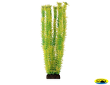 Ар1165 4686Р Растение пласт 46см желто-зеленое Амбулия