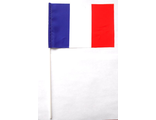Флаг махательный Франция  (15х23)
