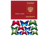 Обложка паспорта + бабочки