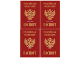 Паспорт 4 шт - 11