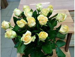 Букет из 15 кремовых роз