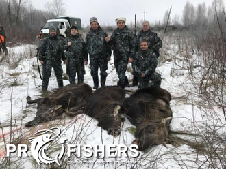 Охотничий тур на Лося групповой 8-10 человек