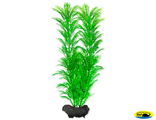 270534 Растение аквариумное Green Cabomba 3 (L) 30см с утяжелителем