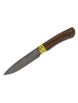 Нож охотничий Нр3 Рисованный клинок в золоте