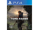 Shadow Of The Tomb Raider Definitive Edition (цифр версия PS4) RUS
