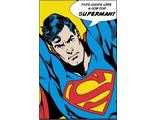 Постер Maxi Pyramid: DC: Superman (Looks Like A Job For)