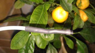 Датчик температуры EW-TMPSEN-200 Датчик температуры EW-TMPSEN-200