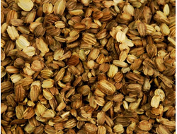 Ангелика эфирное масло (семена)