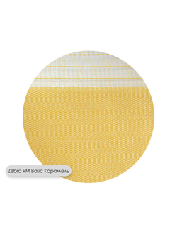 Рулонные жалюзи Zebra RM Basic