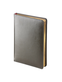 Ежедневник датированный на 2020 год, А5+, "Sindey Nebraska", линия, 168 л., серый, софт обложка, золотой срез