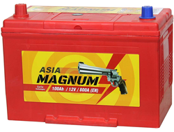 Автомобильный аккумулятор Magnum Asia 100 Ач  п/п