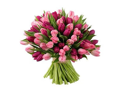 Букет Тюльпанов в розовой гамме