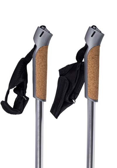 Палки для скандинавской ходьбы TS