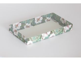 Коробка на 5 печений с прозрачной крышкой (25*15*3 см), шиповник